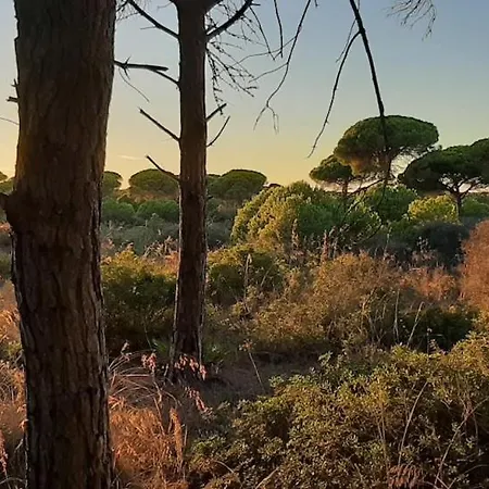Andalusian 6 Pax With Community Pool Сasa de vacaciones *